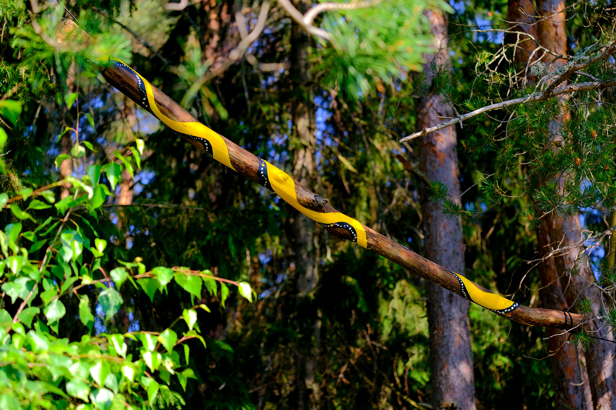 Barefoot Path. Environmental Art Exhibition